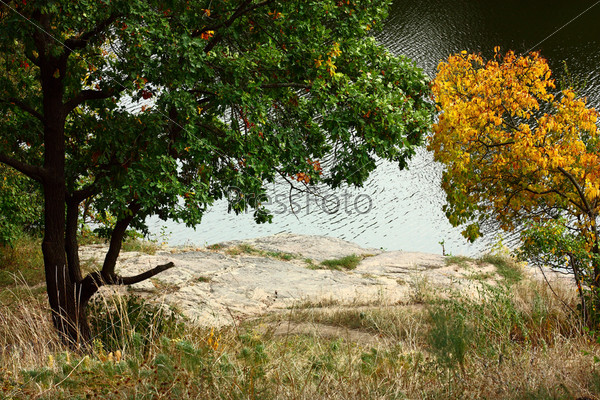 Осенний пейзаж с рекой и деревьями