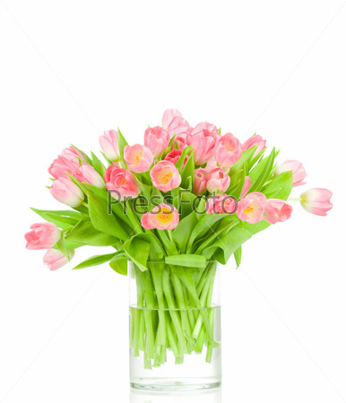 Pink tulips with heart rain isolated on white background