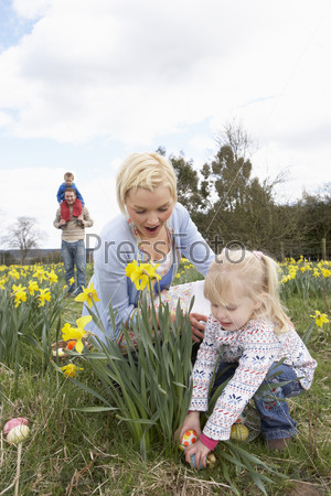 Family On Easter Egg Hunt In Daffodil Field