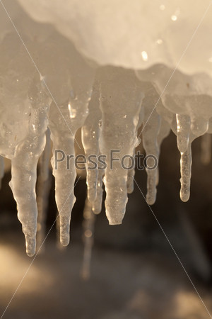 Icicles in winter on sunset light