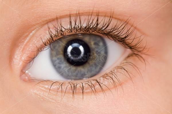 left blue eye of child with long eyelashes close up