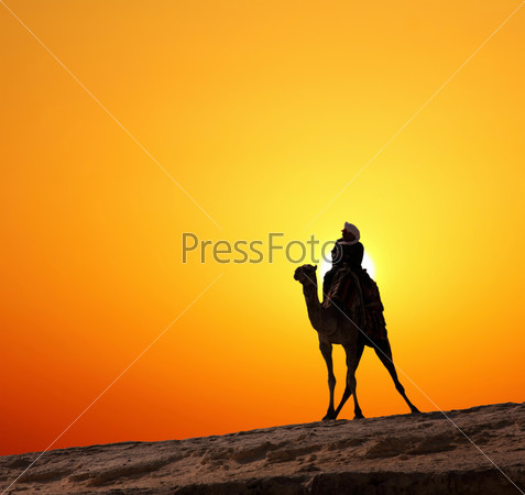 Bedouin on camel silhouette against sunrise