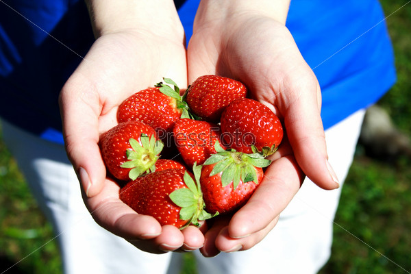 Strawberries in hands photo illustration in the yard, stock photo