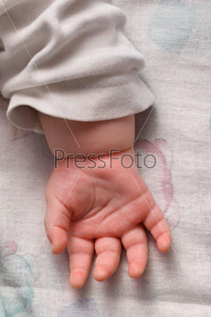 Closeup view on cute baby hand, palm up.