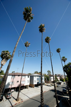 Residential area of Los Angeles, California