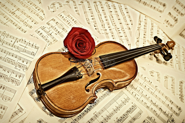 Скрипка и роза лежат на музыкальных нотах