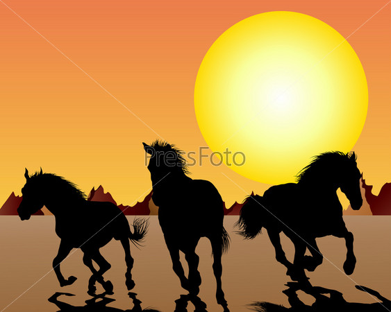 Силуэты бегущих лошадей на закате