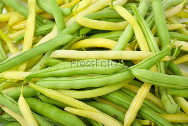 Green and yellow wax bean pods, stock photo