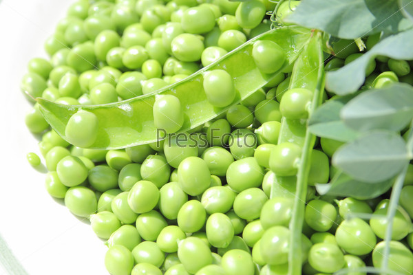 clean fresh green peas on a white plate under sun light