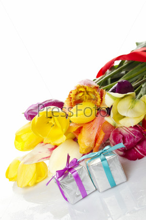 Lovely spring colored tulips with water drops lie in the bouquet beside a small two gift box. Isolated on white background