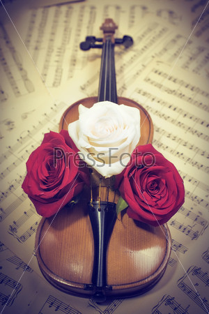 old violin with musical notes and roses