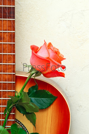 Guitar with a red rose against a wall.