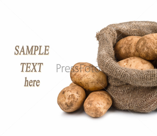 Raw dug potatoes in burlap bag with sample text