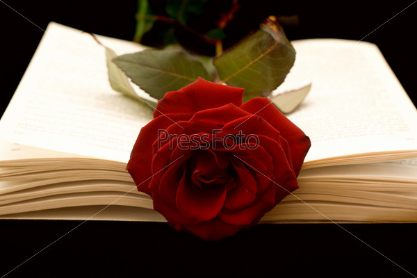 The open book and a red rose on a black background