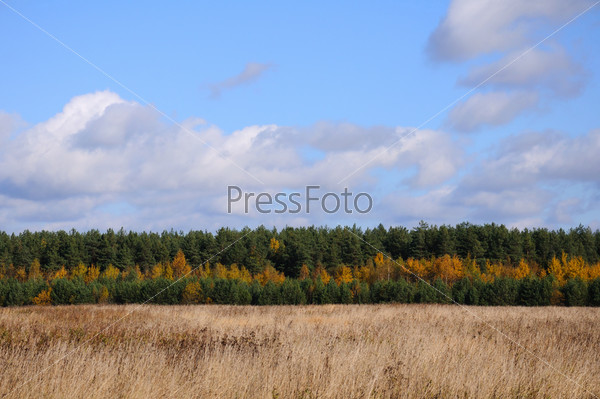 Straight lines of blue sky with clouds, green and yellow autumn trees and the line of grey meadow