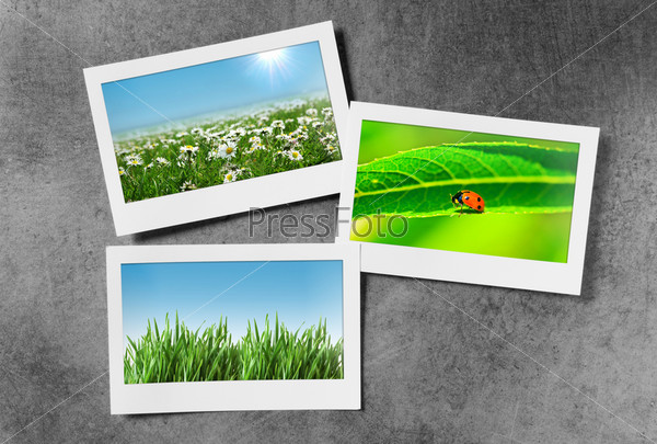 Nature photos in picture frames, stock photo