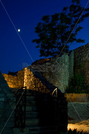 ladder on the wall of the castle in the moonlight