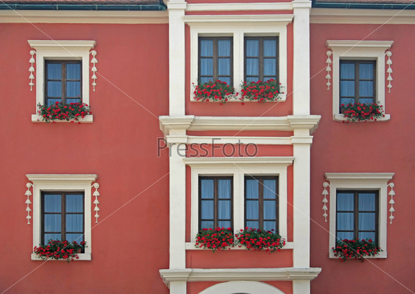 Red flowers in window boxes beneath white windows on the front of a house.