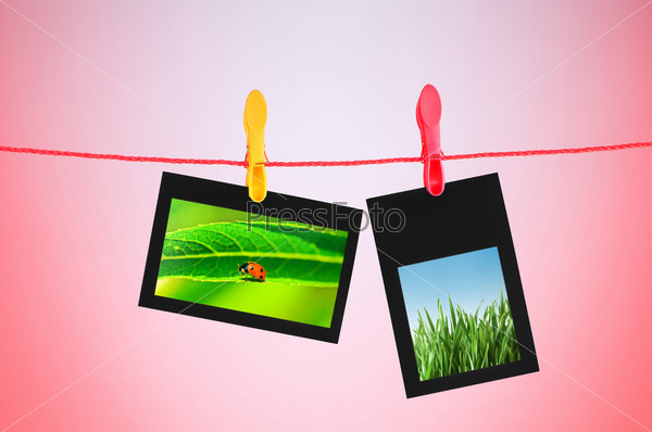 Nature photos in picture frames, stock photo