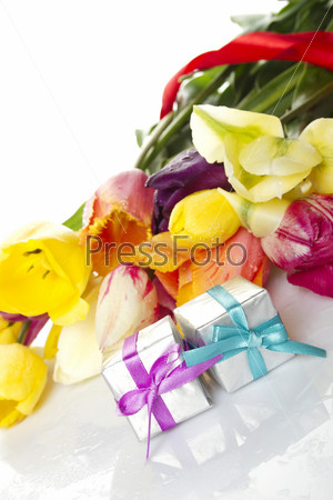 Lovely spring colored tulips with water drops lie in the bouquet beside a small two gift box. Isolated on white background