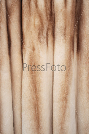 The texture of the fur fluffy women\'s coats, close-up.