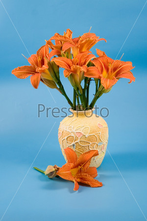 Bouquet of day-lily flowers on a blue background