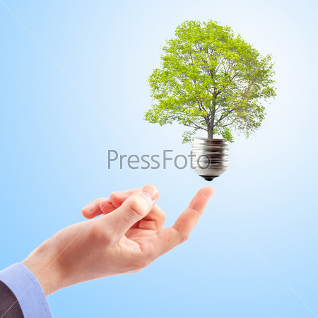 Hand with lamp and tree. Concept of renewable energy