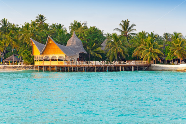 Island in ocean, Maldives. , stock photo