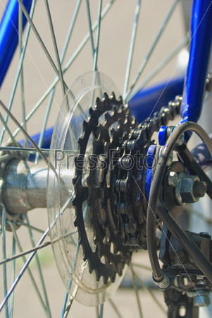 Bike gear wheel and chain, stock photo