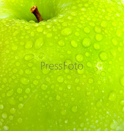 Apple in green with water drops