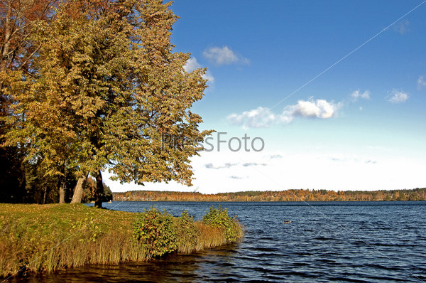 Landscape with lake in an autumn sunny day, Imatra, Finland