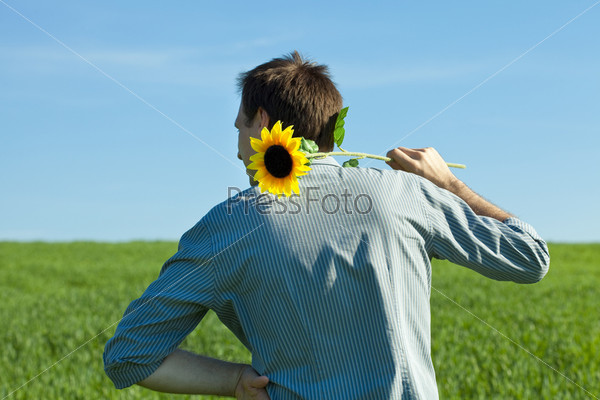 Young man standing with a sunflower in the green field, stock photo