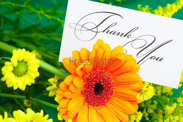 Gerbera,yellow daisy and card signed thank you on green background, stock photo