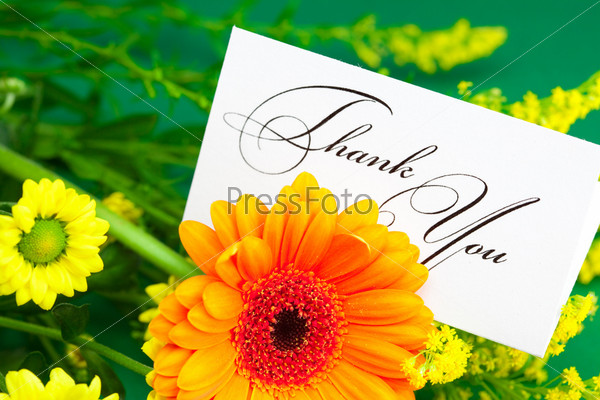 yellow daisy, gerbera and card signed thank you on green background