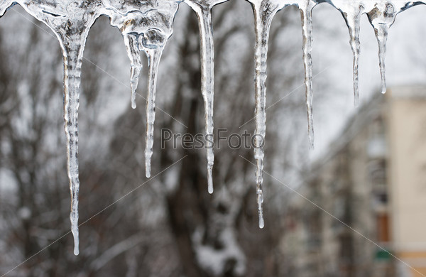 icicles which are hanging down