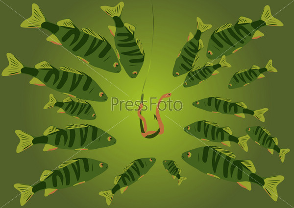group of predatory fishes surrounded a worm on a hook