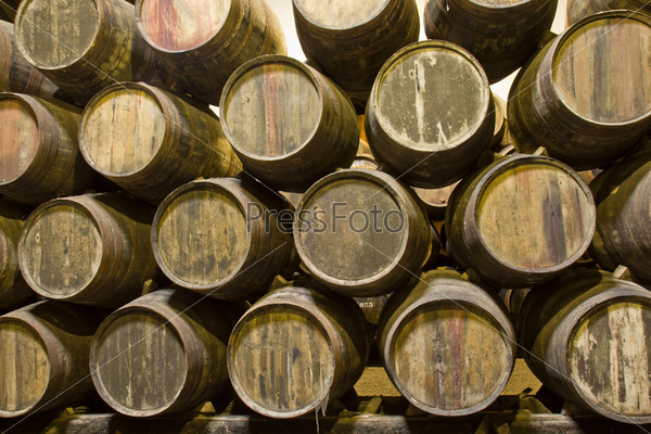Cellar with wine barrels