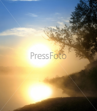 beautiful fog sunrise on river