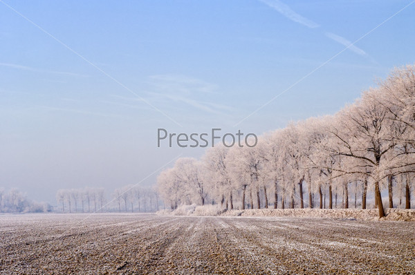Rural winter in Zeeland, the Netherlands