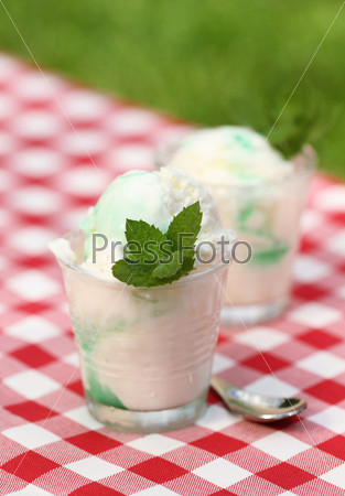 Fresh vanilla ice cream with mint outdoor