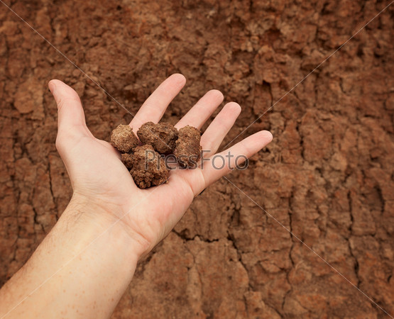 Почва глина как сделать слив