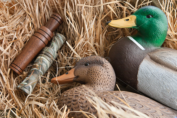 Duck decoy with stuffed and calls