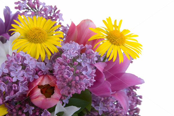Bouquet of spring flowers in a vase on a white background
