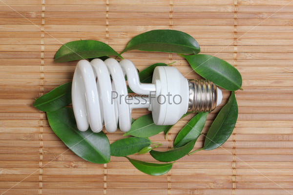 concept, symbolizing the ecological compatibility of energy saving bulbs