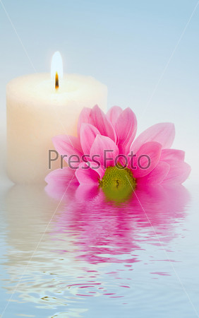 An image of flower and candle in water