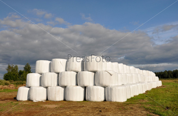 Bales of hay wrapped in plastic wrap. Polyethylene.