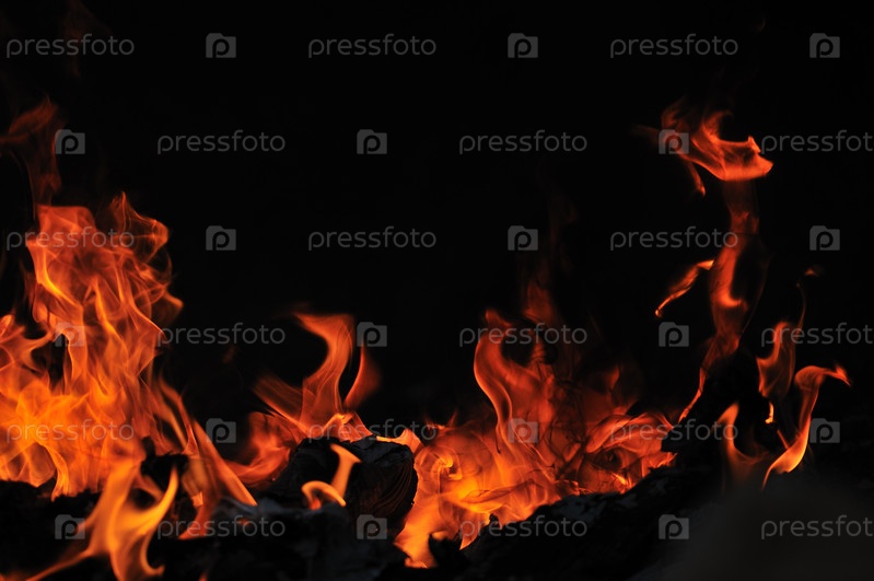 Дикое пламя ярко пылает на черном фоне - Stock Image - Everypixel