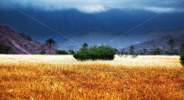  storm in Morocco