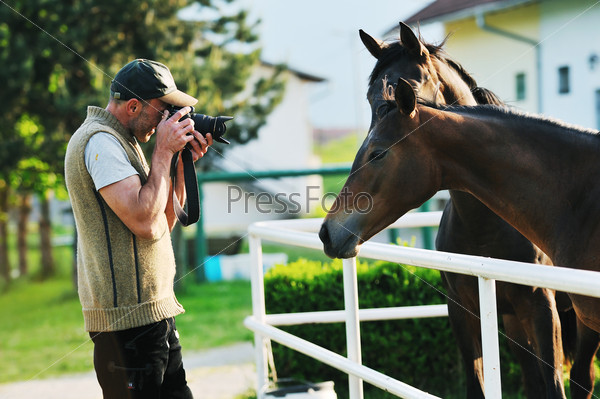 Man taking photographs of the horse farm animal, stock photo