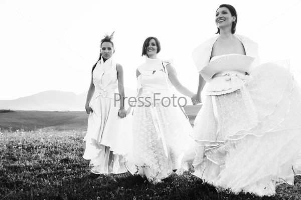 group of bride run on meadow at sunset after wedding\
party